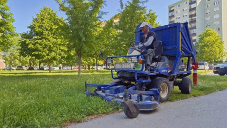 Vágatlan május után vágatlan nyár Fehérváron